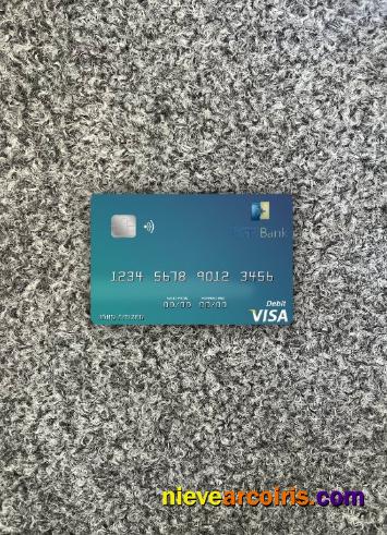 Gabon BGFI Bank visa debit card photolook